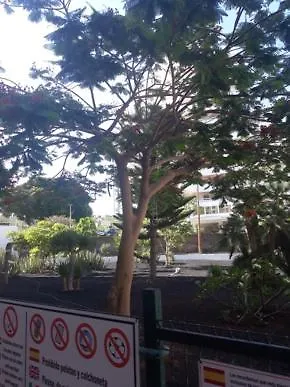 Ocean View, Wifi Free, Playa Americas Будинок відпочинку Адехе